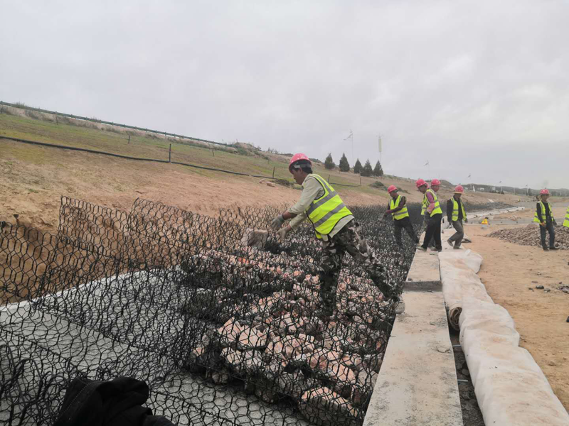 圖片8.png 圖片8.png